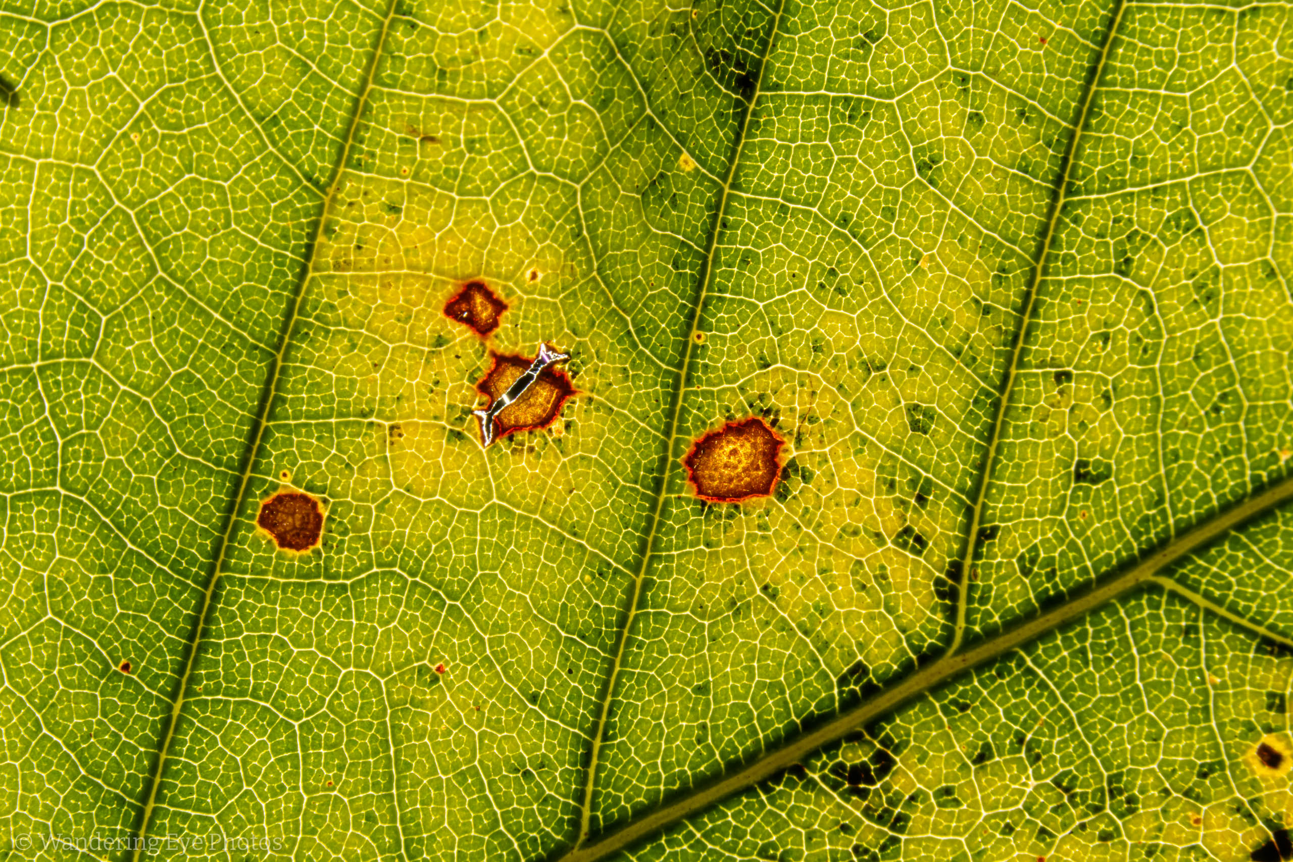 11.15 18.01.13   DSC05829